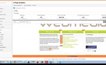 משמעות IN PAGE ANALYTICS